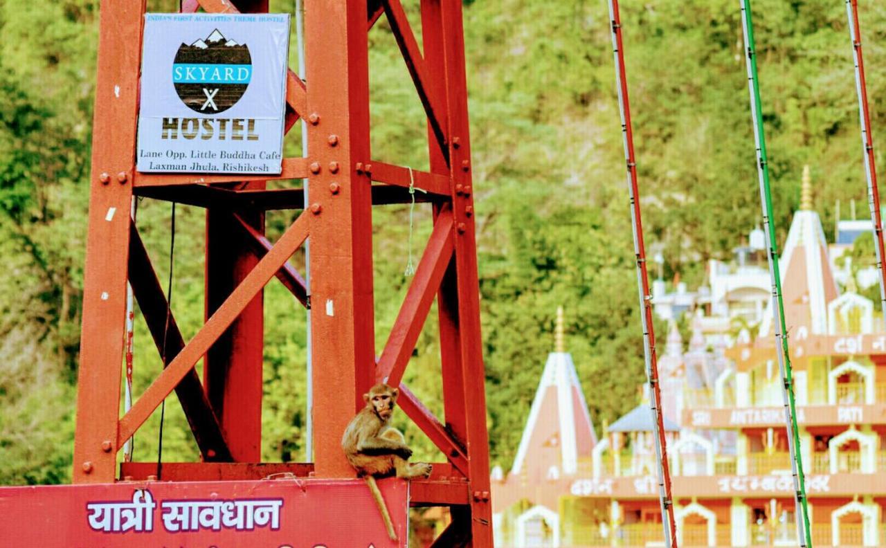 Skyard Rishikesh, Laxman Jhula Pansiyon Dış mekan fotoğraf